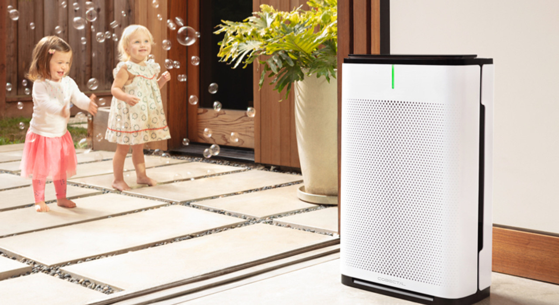 Are Air Purifiers a Waste of Money? Here’s Why They’re a Smart Investment for Your Home