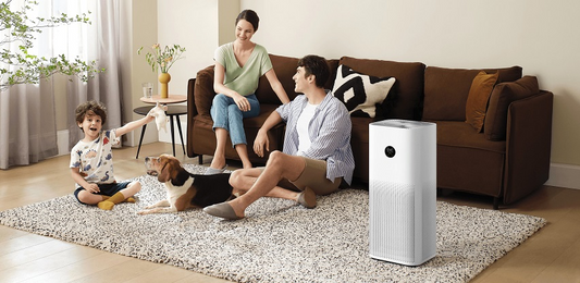 Discover the Best Air Purifier for Allergies and Pets: Your Ultimate Guide