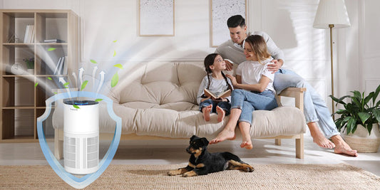 The Household Application Value of H14 HEPA in Cobectal Air Purifiers