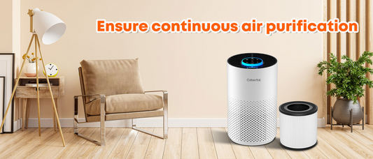 Why Air Purifiers Need Timely Filter Replacement