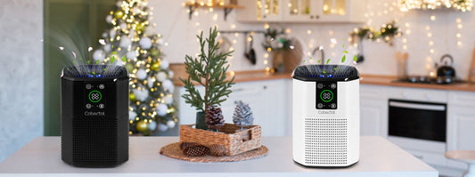 Cobectal ZQA-2000B Air Purifier — The Air Savior for Small Spaces & Sensitive Individuals!