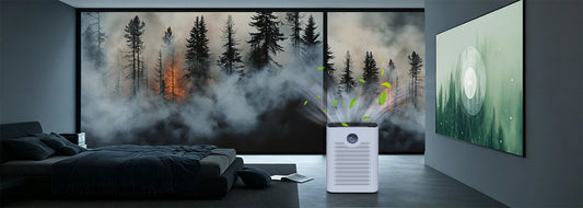 Cobectal WiFi Smart Air Purifier: Tailored for Your Home, Protecting Your Breathing