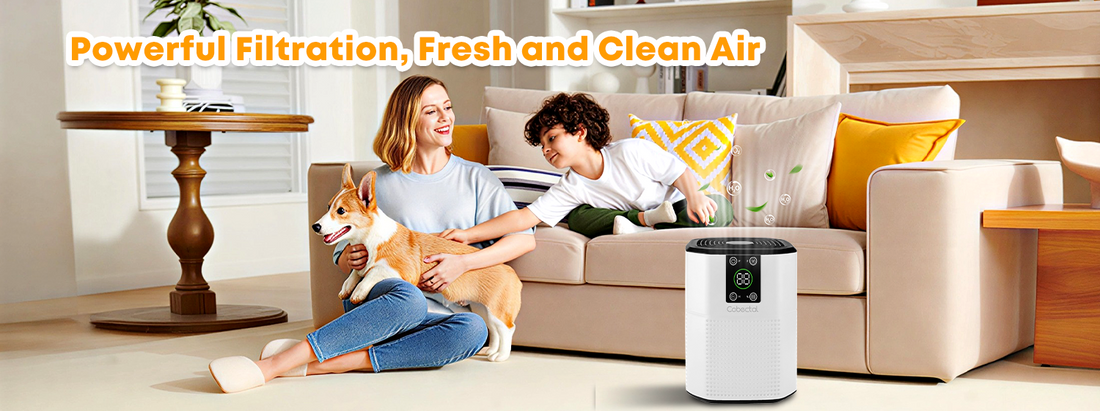 The Must-Have Air Purifier for Allergy Sufferers and Pet Owners