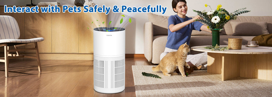 Cobectal ZQA6000A: The Preferred Choice for Pet-Friendly Home Air Purification