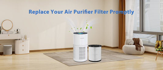 Benefits of Replacing Air Purifier Filters on Schedule