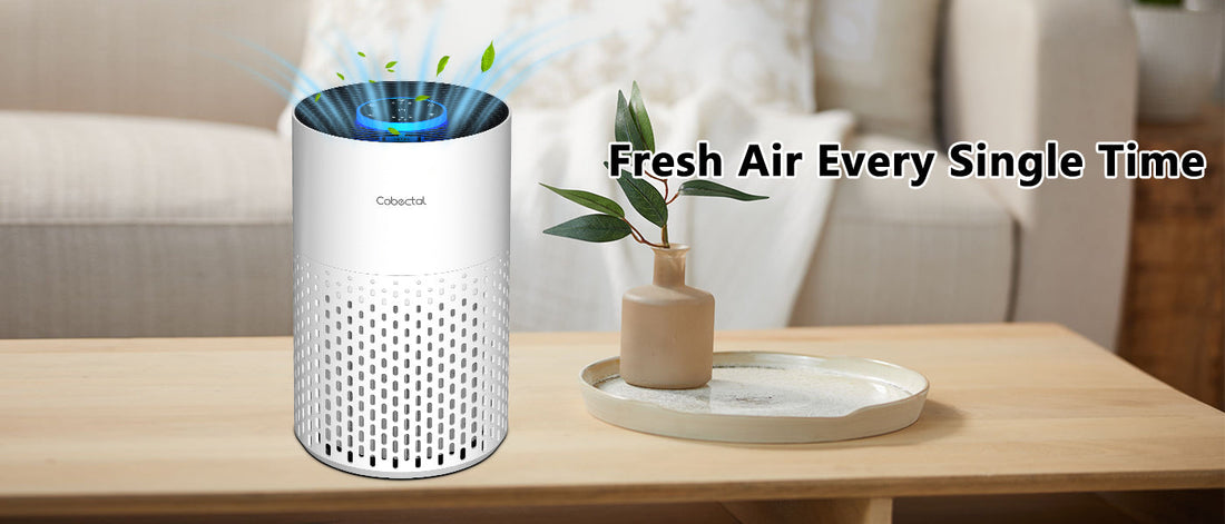 The Outstanding Cobectal ZQA-4000B Air Purifier