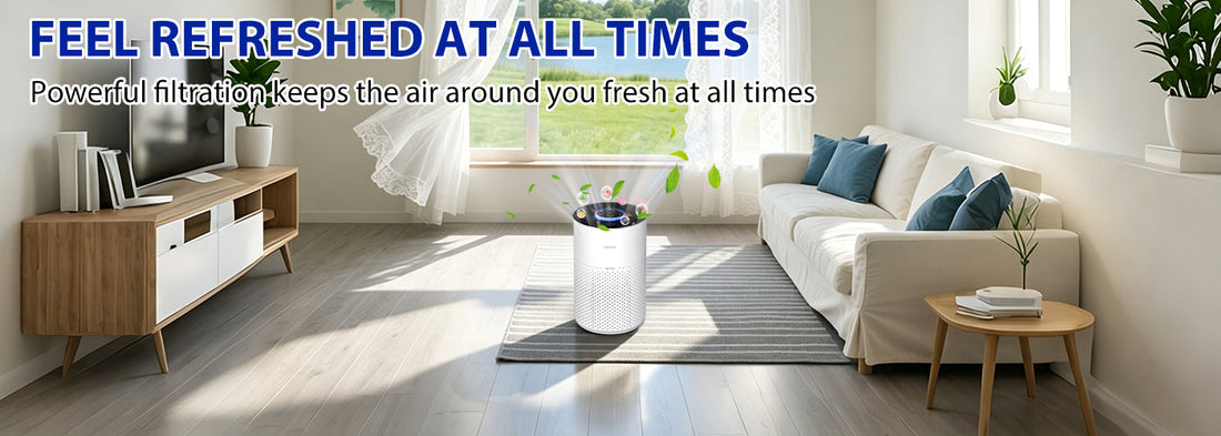 A Comprehensive Air Management Solution Designed for the Home