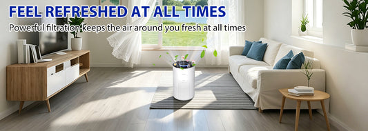 A Comprehensive Air Management Solution Designed for the Home