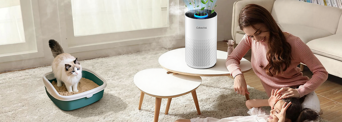 Say goodbye to odors and dust! The Cobectal Air Purifier brings pure, fresh air to your home
