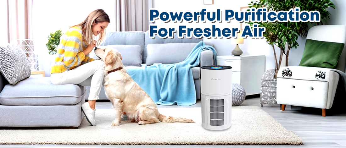 Reliable Cobectal ZQA-6000A Air Purifier