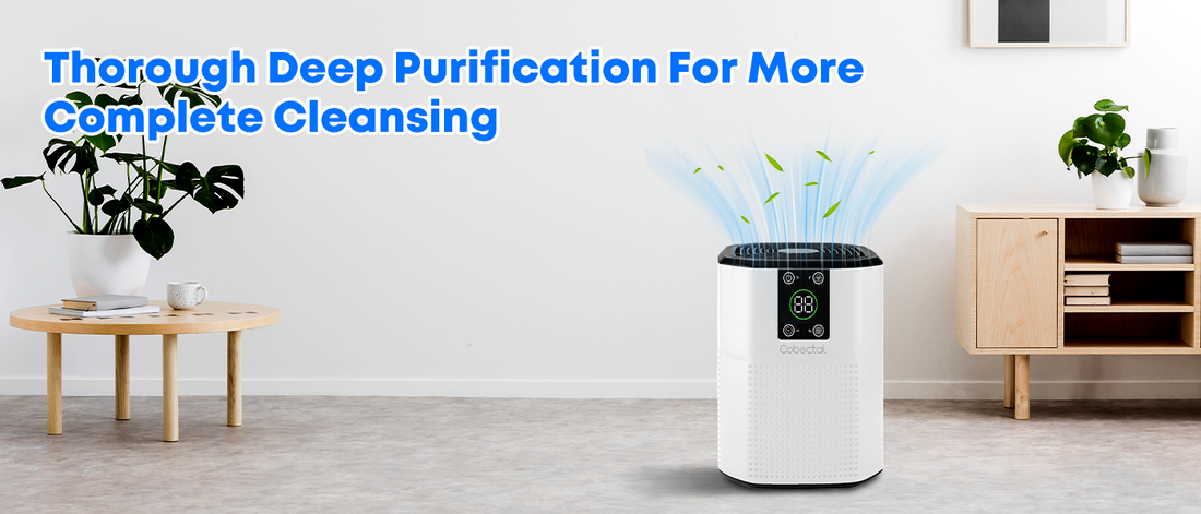 Cobectal air purifier: Delivers thorough deep purification for complete indoor air cleansing.