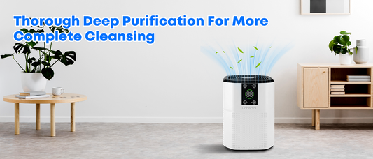 Cobectal air purifier: Delivers thorough deep purification for complete indoor air cleansing.