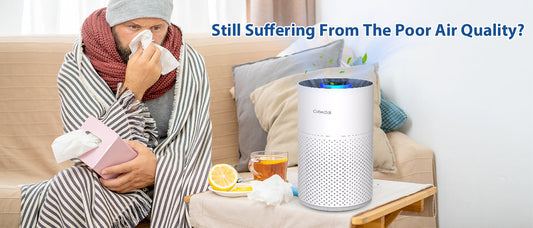 Cobectal ZQA-4000C: More Than Just Clean Air, It Creates Ambiance