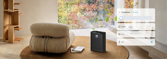 We spend more time indoors in autumn and winter: why is indoor air quality worth paying attention to?