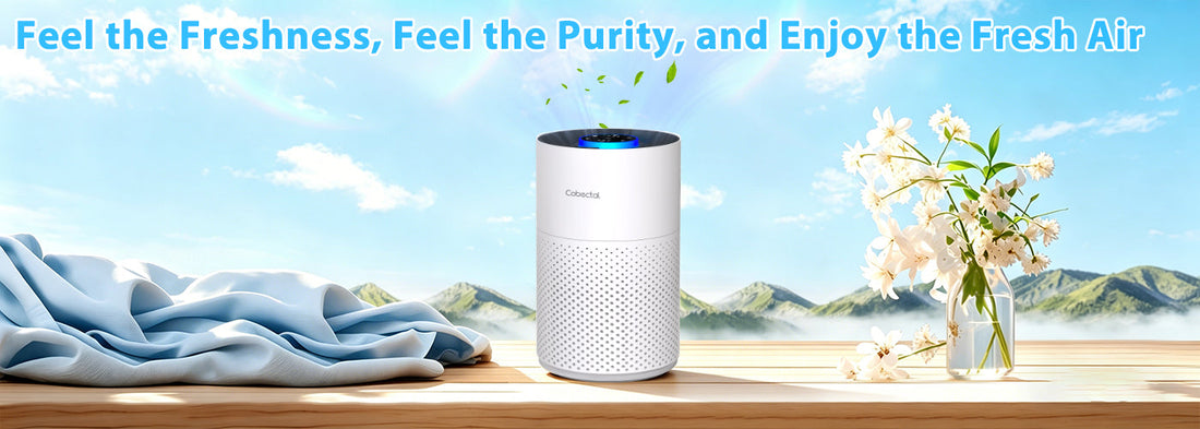 Silent Operation and Aromatherapy Purification: The Cobectal Air Purifier User Experience