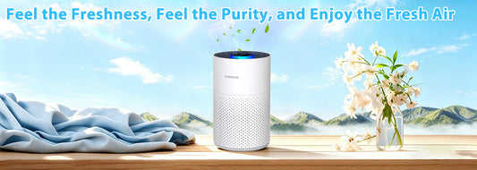 Silent Operation and Aromatherapy Purification: The Cobectal Air Purifier User Experience