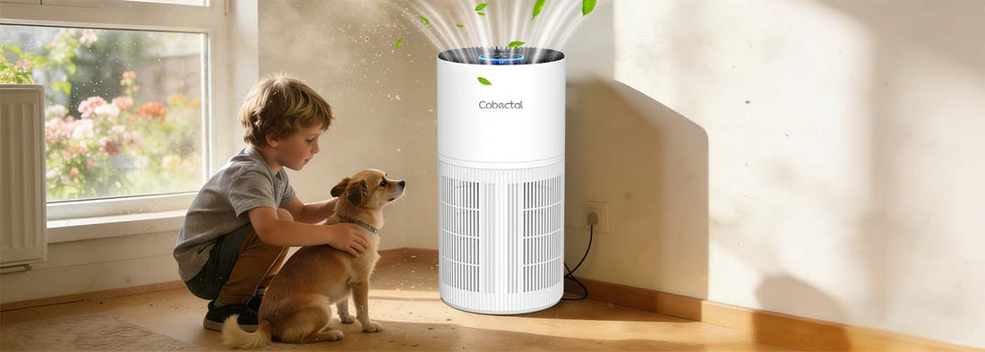 Why Do American Households Need Air Purifiers in the Spring?