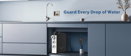 Cobectal Under-Sink RO Water Purifier: Exceptional Value for Money