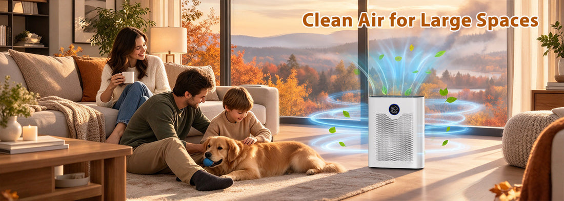ZQA-8000A Air Purifier for Large Rooms: A Smarter Way to Keep Indoor Air Clean