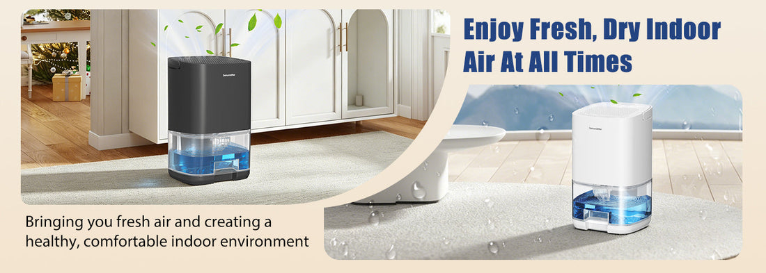 Cobectal H2102 Dehumidifier Review: Can This Compact Device Really Solve Humidity Problems?