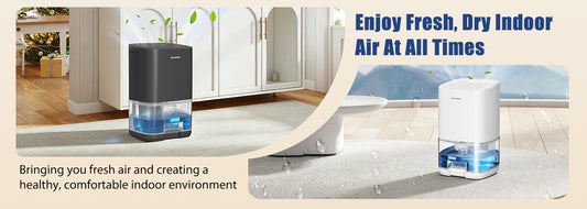 Cobectal H2102 Dehumidifier Review: Can This Compact Device Really Solve Humidity Problems?