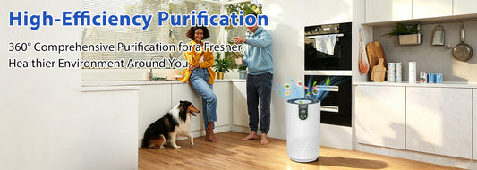 Cobectal ZQA-7000A Air Purifier: The Ideal Choice for Year-Round Air Purification in the Home
