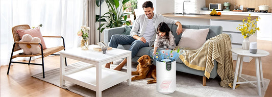 How to Choose the Best Air Purifier for Pet Owners: A Complete Guide to Cleaner Indoor Air