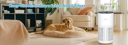 In-Depth Review of the Cobectal ZQA-6000A Air Purifier: A Home Air Solution for Healthier Air in Your Bedroom and for Your Family