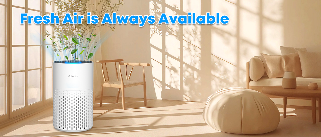 Cobectal ZQA4000B air purifier, the Dust Removal Savior for People