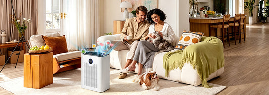 All-Area Clean Air Purifier for the Home