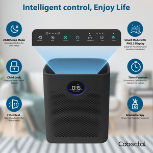 Cobectal® H14 HEPA ZQA-8000A,Whole-House Air Purification to Keep Air Clean，Black