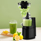 Cobectal Slow Masticating Juicer Machines, 300W Cold Press Juicer Machines with 1000ml Cup