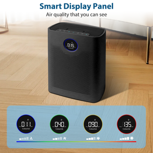 Whole-House Air Purifier with H14 HEPA Filter, Black