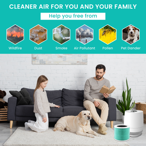 Cobectal ZQA-2000 Air purifier & filter: Delivers cleaner air, freeing you and your family from wildfire smoke, dust, air pollutants, pollen, and pet dander.