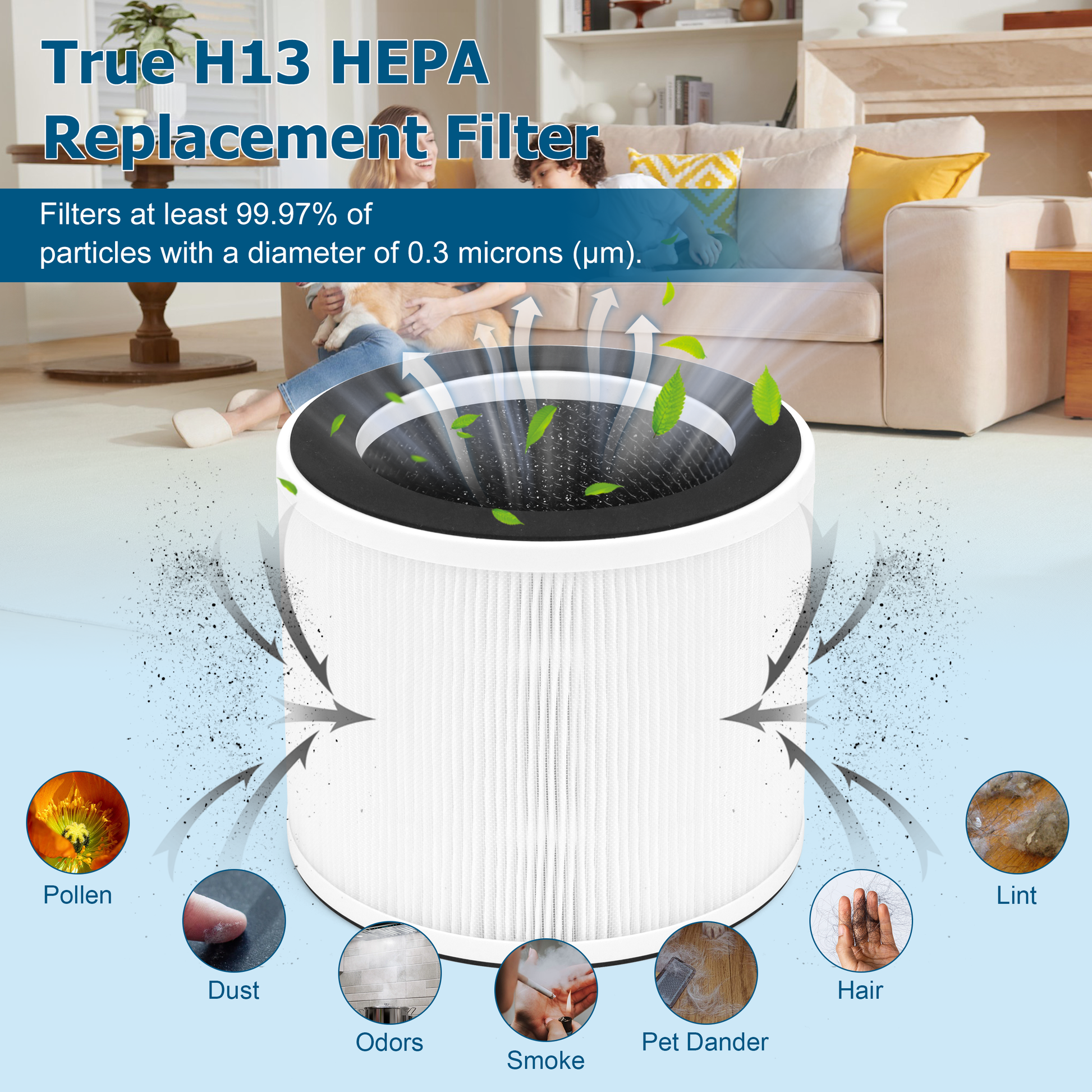 Cobectal ZQA-2000 True H13 HEPA replacement filter: Filters ≥99.97% of 0.3μm particles (pollen, dust, odors, smoke, pet dander, hair, lint) for clean air.