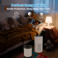 Cobectal Air purifier with H14 HEPA filter & 4 - stage filtration: Ensures perfect compatibility, more effective adsorption for fresh air. Brings gentle protection for lasting deep sleep.