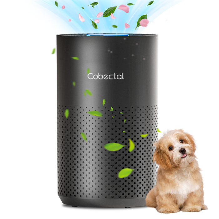 Cobectal air purifier, with a sleek design, releases fresh air with floating leaves and petals. Pet - friendly, ideal for homes with furry friends. 