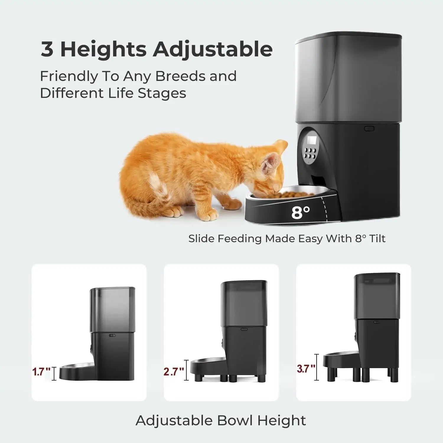 automatic cat feeder