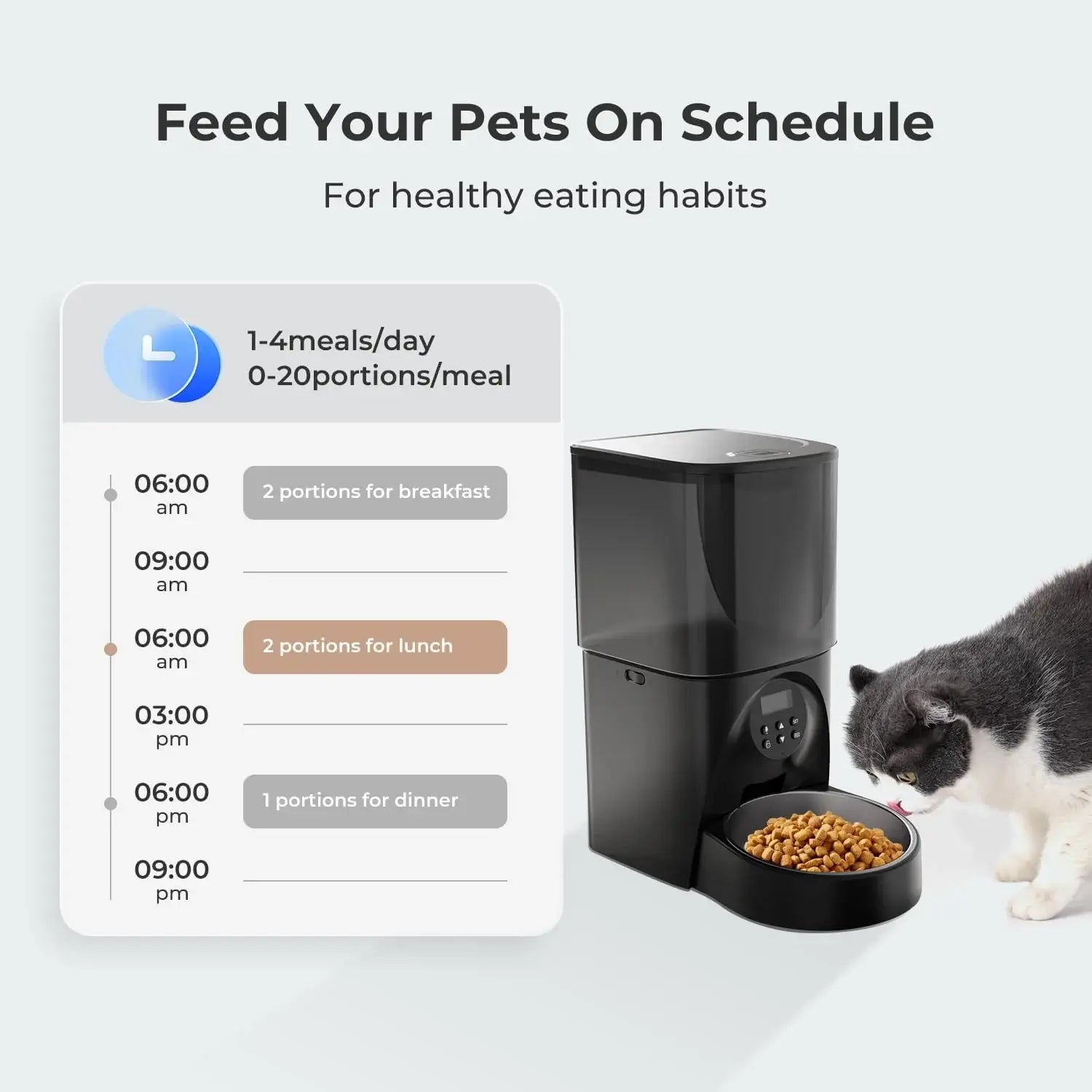 automatic pet feeder for cats and dogs